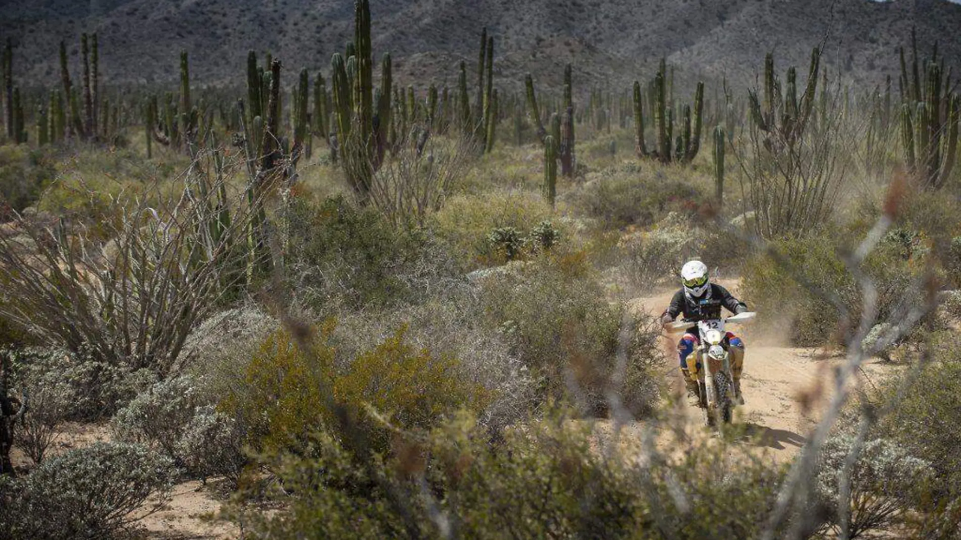 Rally             (Cortesía Sonora Rally)